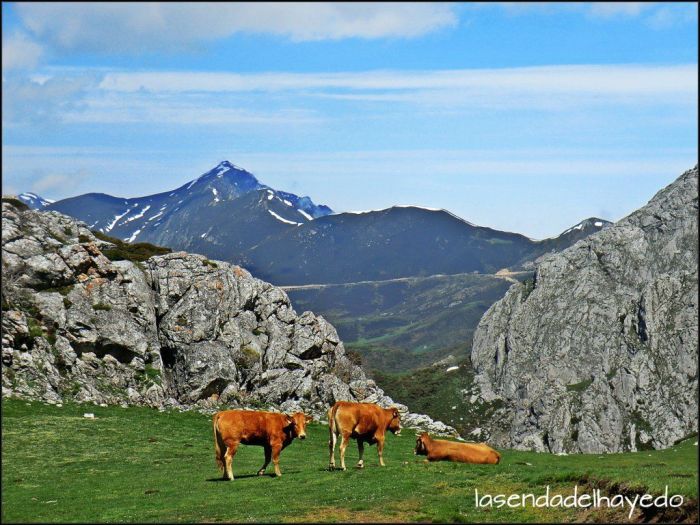 Ferreirúa y la carretera a Ventana desde los Llanos del Fontán