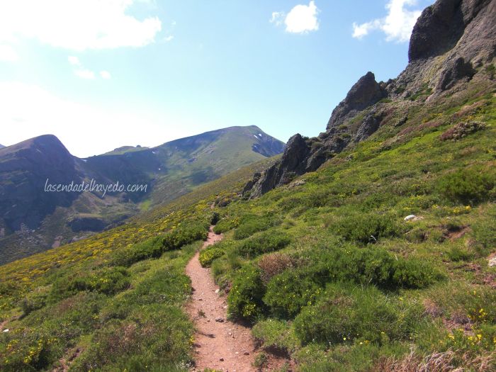 Camino a Coriscao
