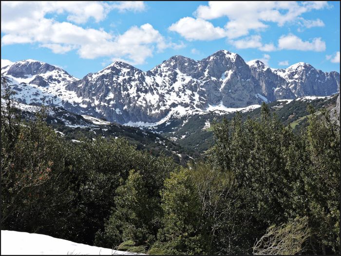 Las paredes calizas del Ranchón desde los siempre verdes puertos de Güeria