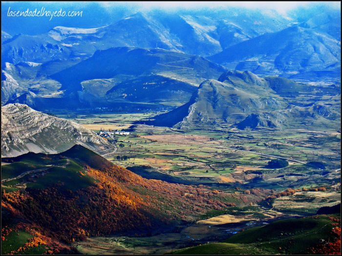 Babia