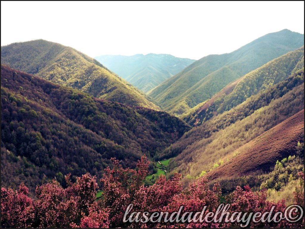 Muniellos desde el mirador de Oubachu