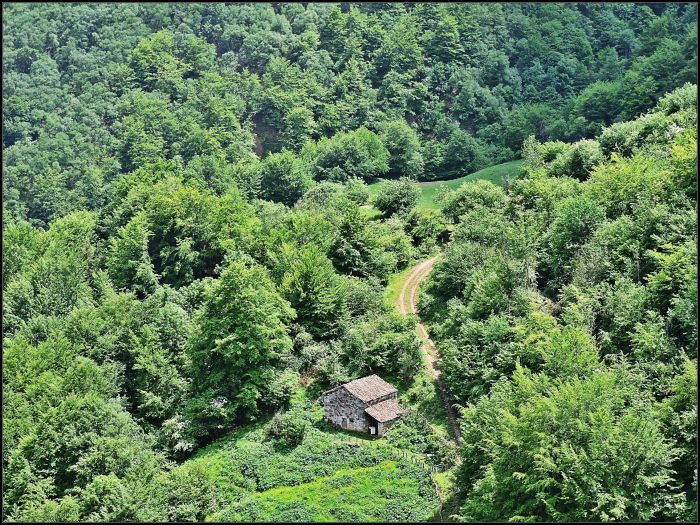 DSCN1814