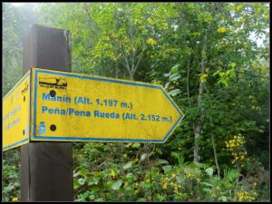 CIMG7088