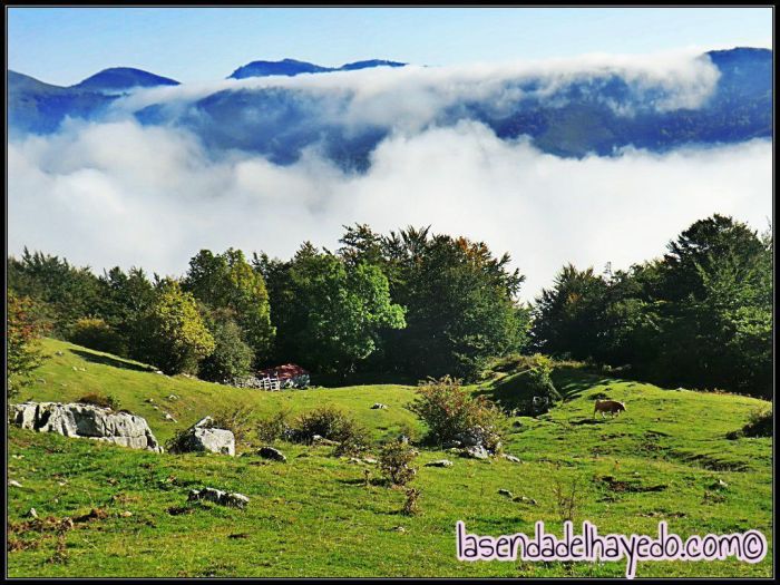 Nieblas otoñales sobre el valle y gran parte de Asturias desde Manín