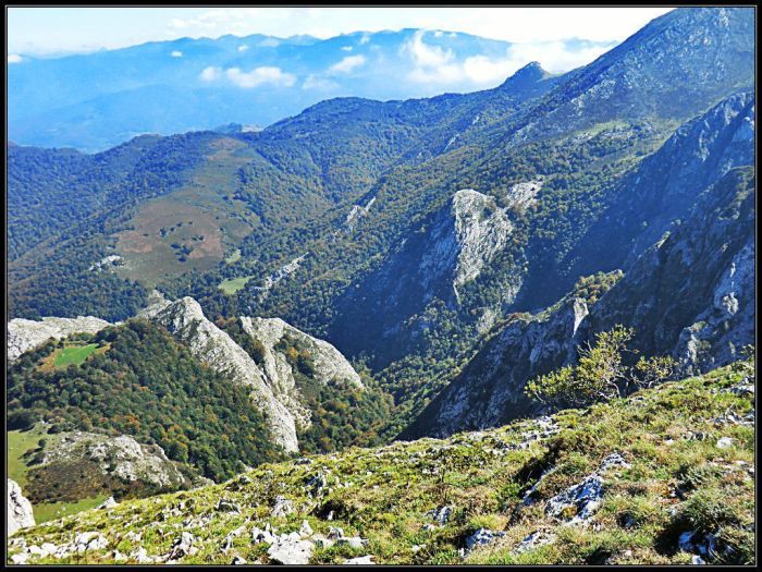 Cabeceras boscosas del valle de L.lindes. Al fondo las montañas del Cellón