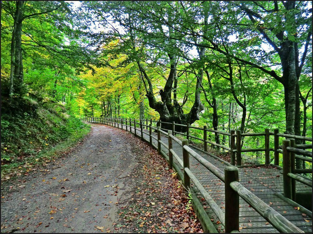 Pista y senda accesible