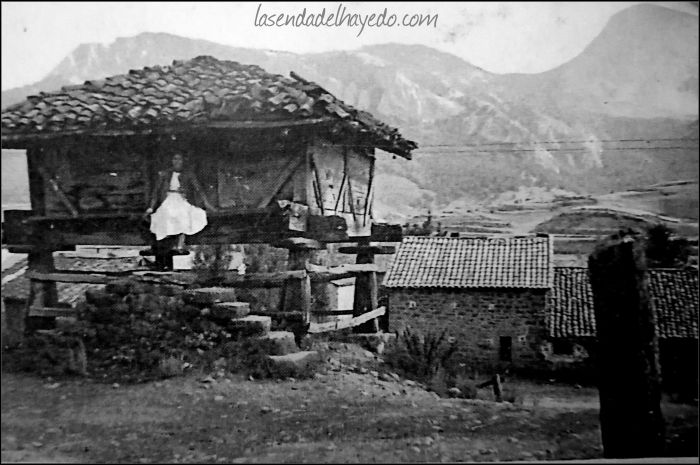 Antiquísimo hórreo ya desaparecido en el pueblo de Burón. Nótese que es de cuatro aguas. Al fondo el pico Burin o Yordas. (Foto cedida por Olga Pajín)