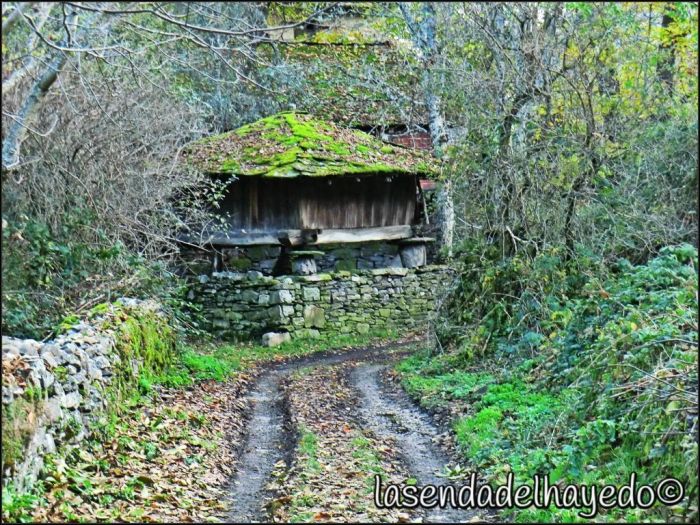 Hórreo de El Castru (Palacios del Sil)