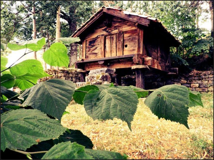 Hórreo de Lario (Valdeburón)