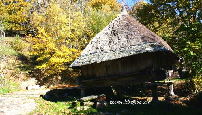 Horreo