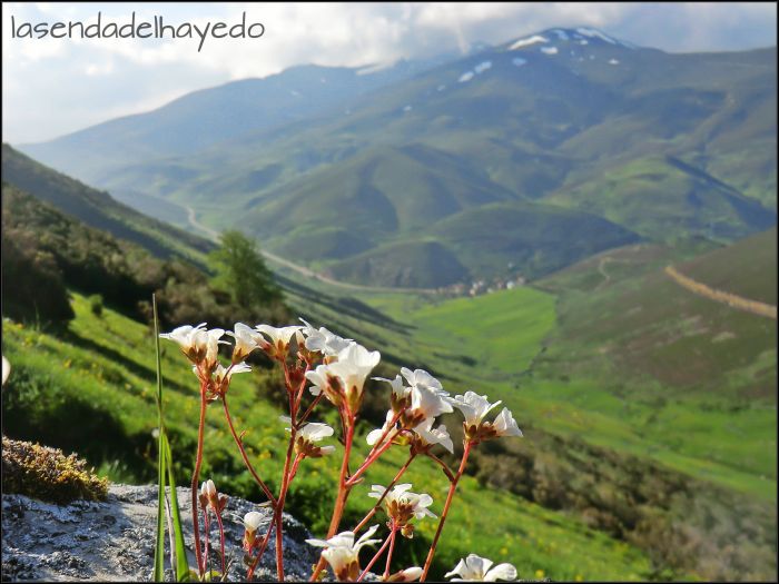 Valle del Canal desde su parte más altiva