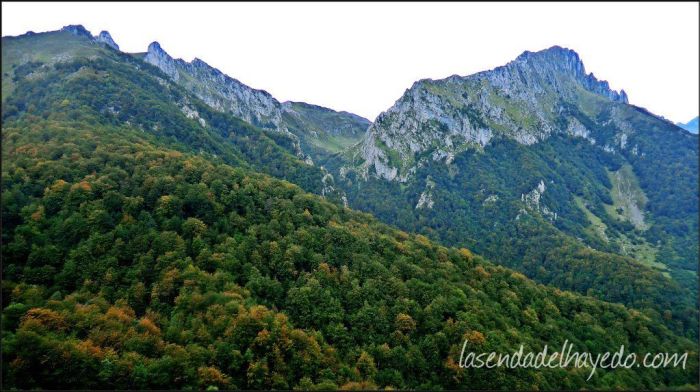 Panorámica del hayedo de la Foz de la Caviyera y la estrecha puerta de entrada a los Puertos de la Vachota