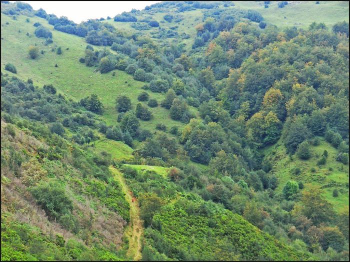 Descenso del Col.laín al valle de la Foz