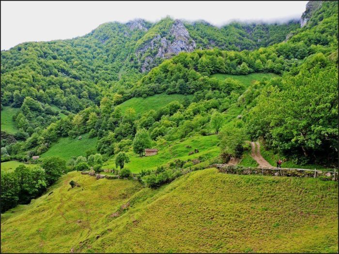 Pista, que luego será sendero, para ascender por el hayedo hacia los puertos.