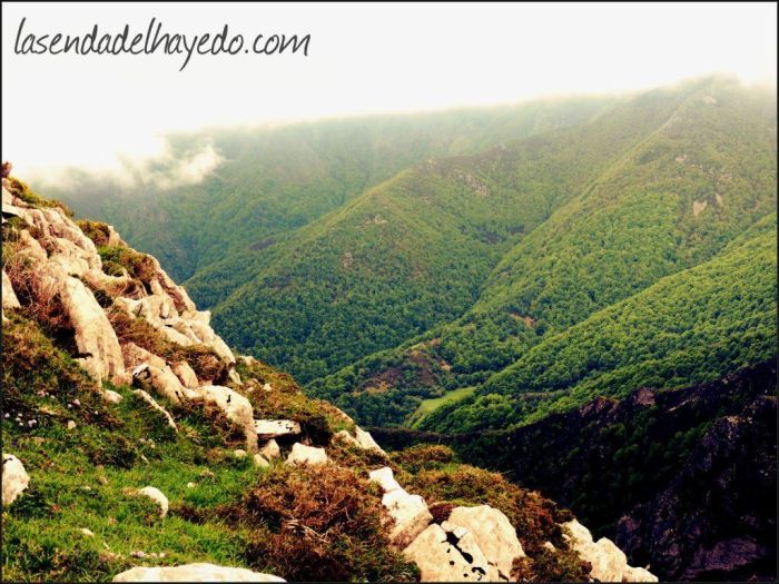 Valgrande, uno de los mejores bosques de la cordillera cantábrica