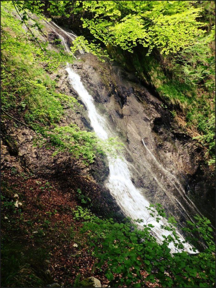 Cascadas que nos acompañarán en el último tramo del bosque