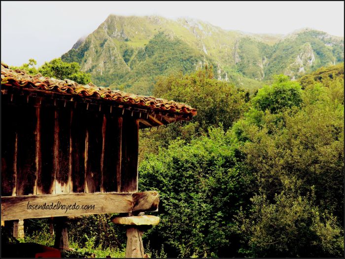 Hórreo en Bueida bajo el Campu Faya (1.942 metros)