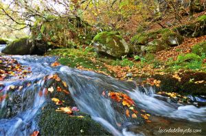 Rincones del Alto Torío