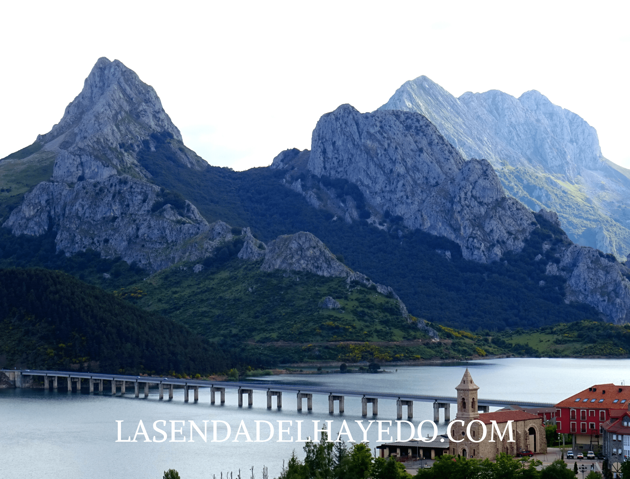 pico gilbo leon