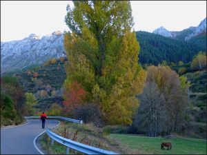 Carretera a Llamazares
