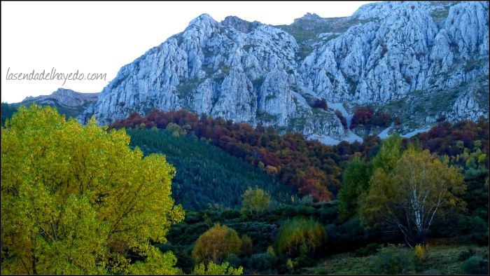 Sierra de Bodón