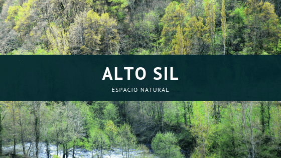 ALTO SIL