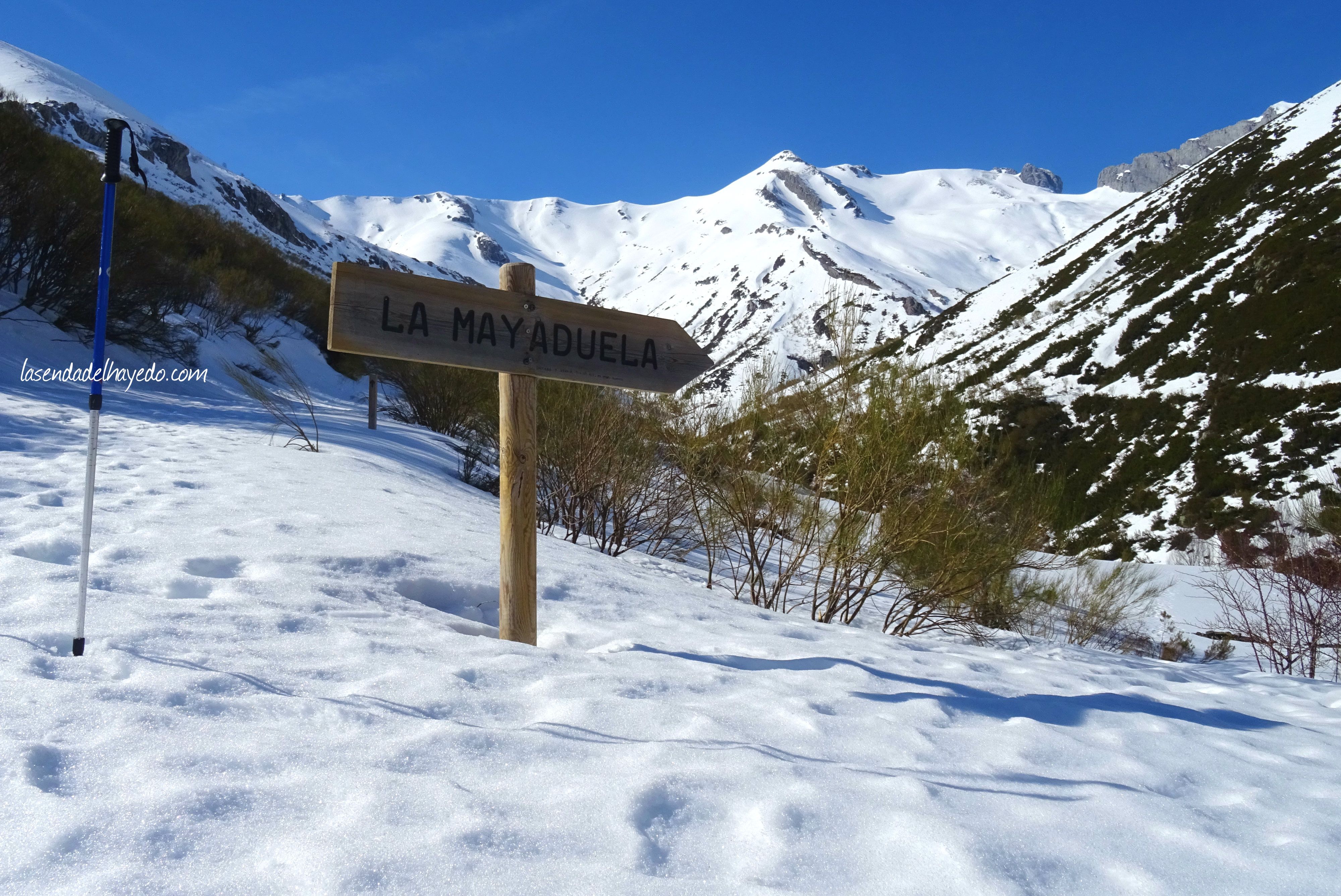 La Mayaduela
