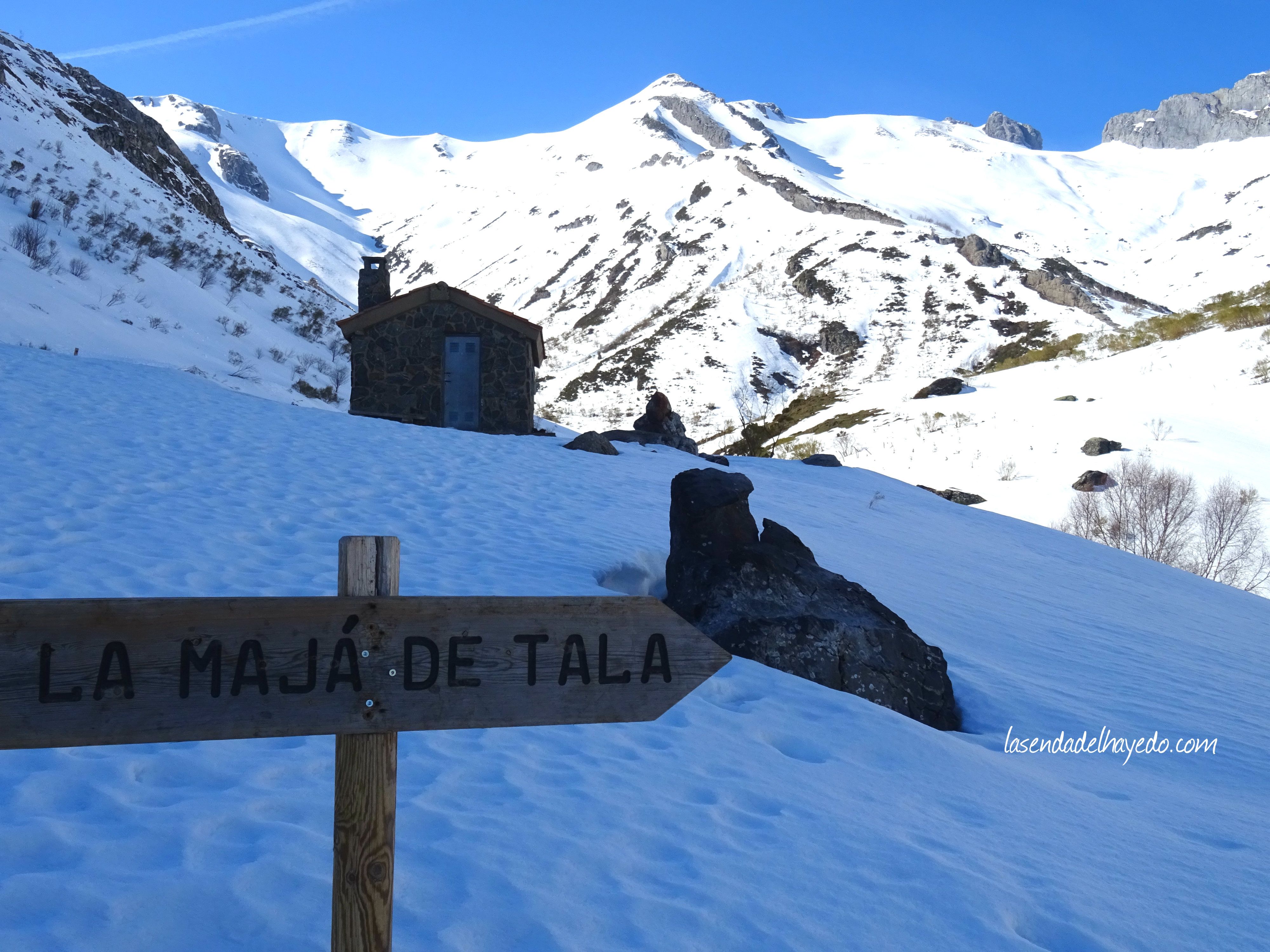 La Mayá de Tala