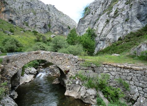 puente canseco