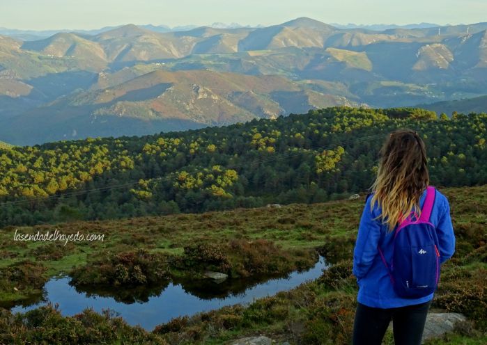 penouta boal asturias