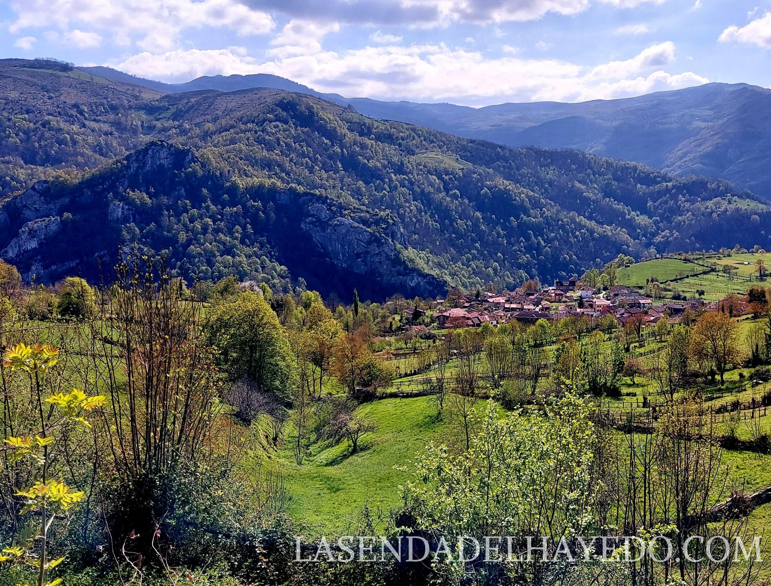 pelugano ruta mea