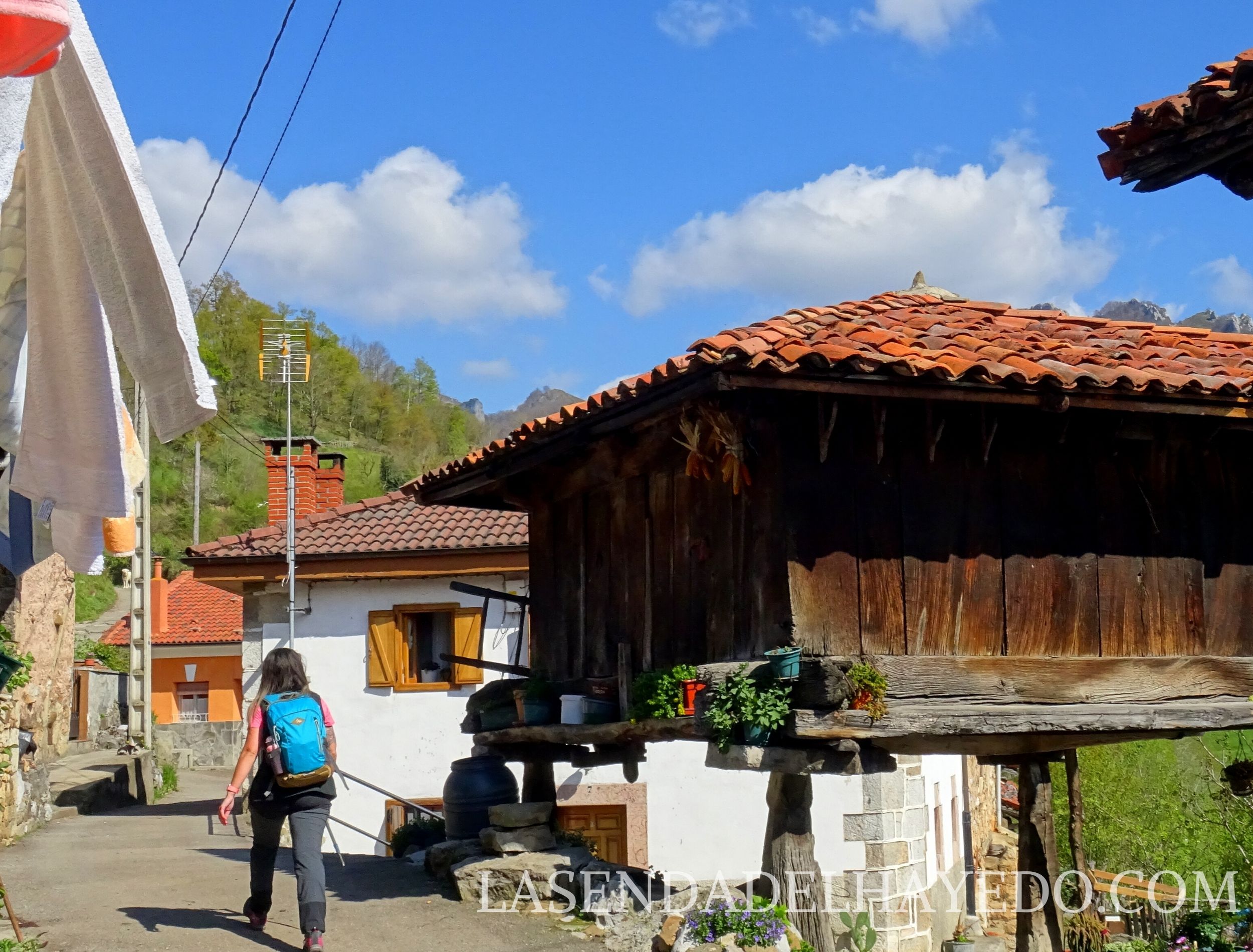 pelugano