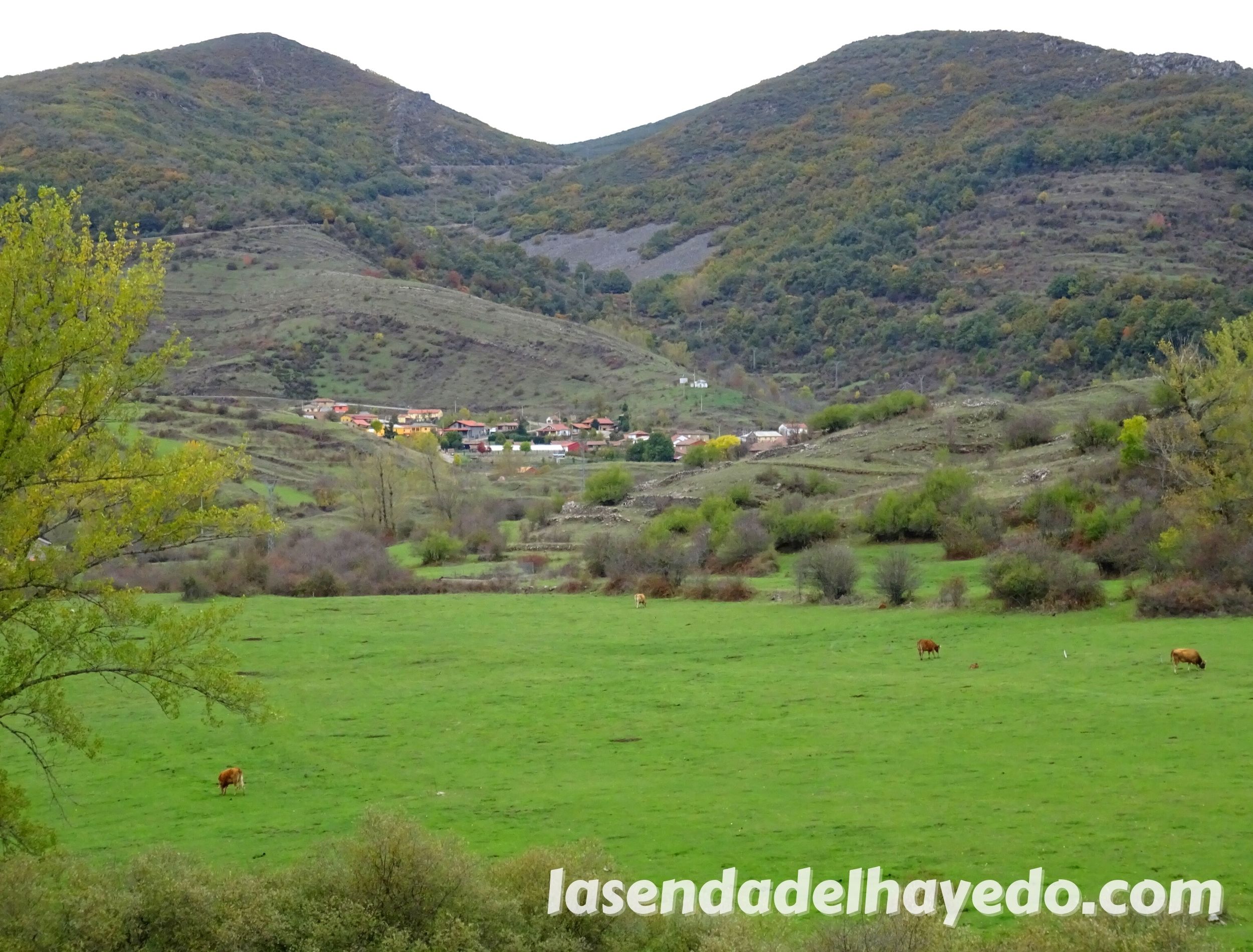 geras de gordon