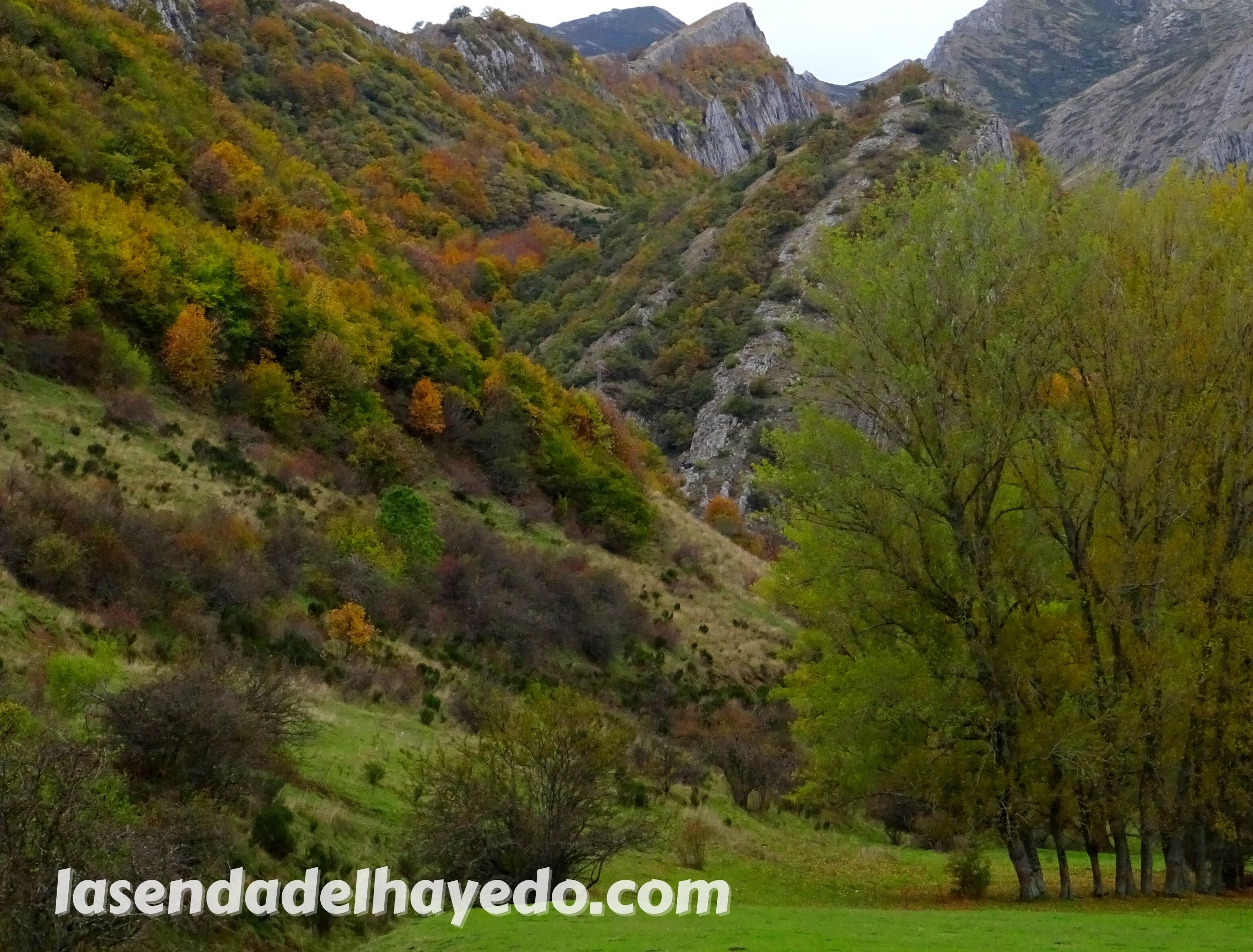 geras de gordon