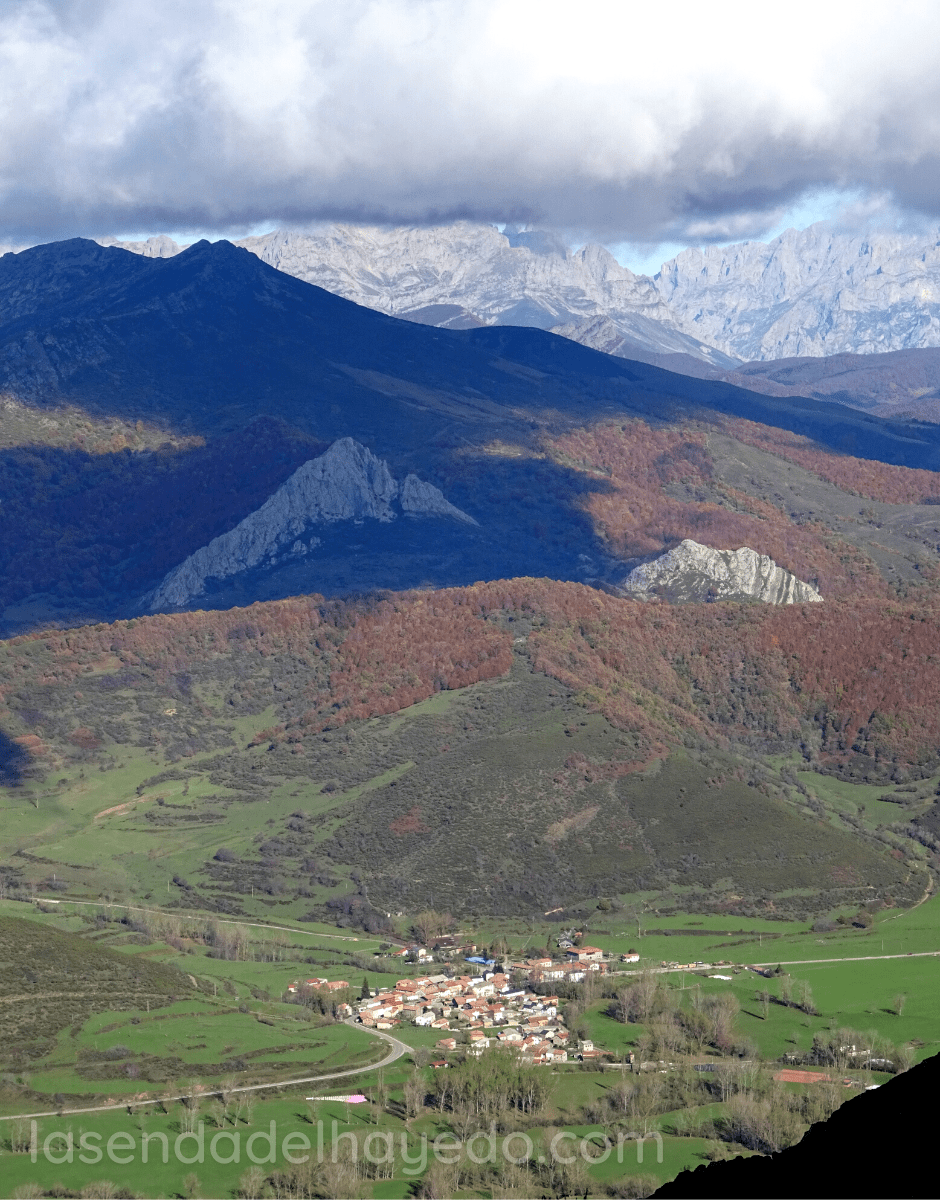 Lario valdeburon