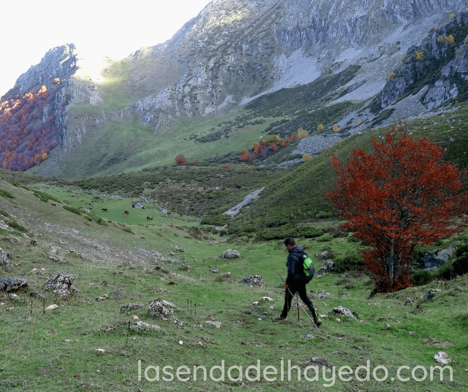 recacabiello