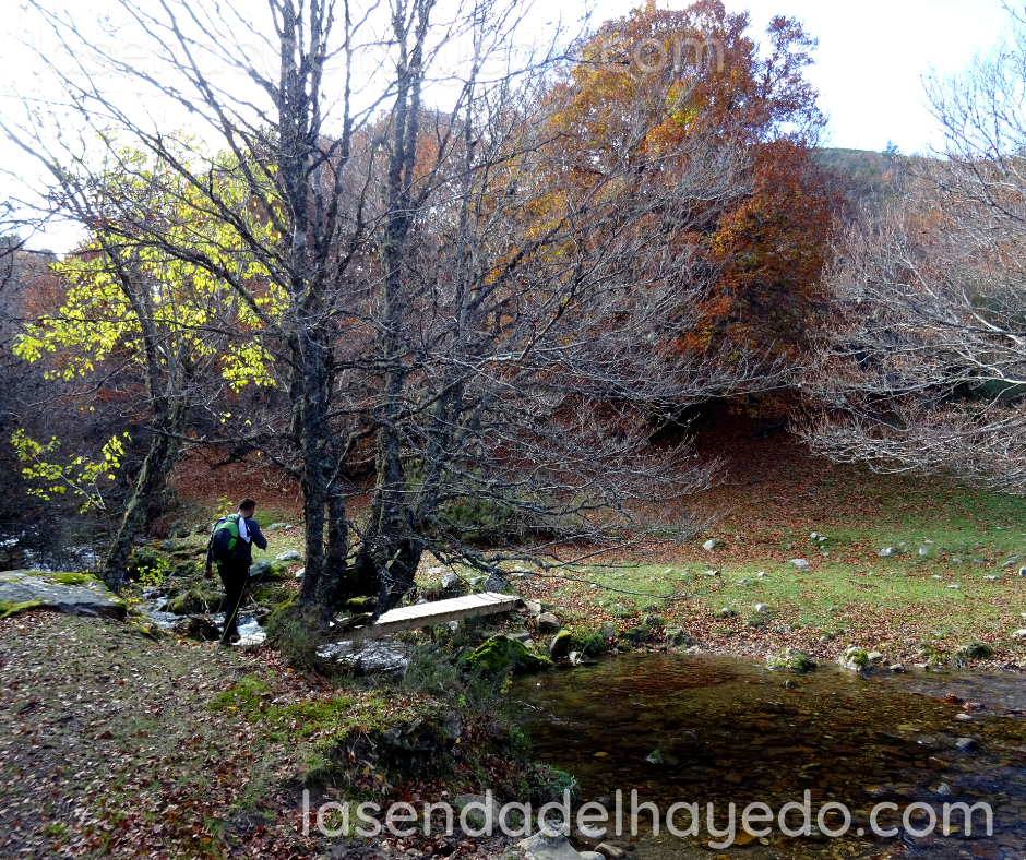Rio Erendia