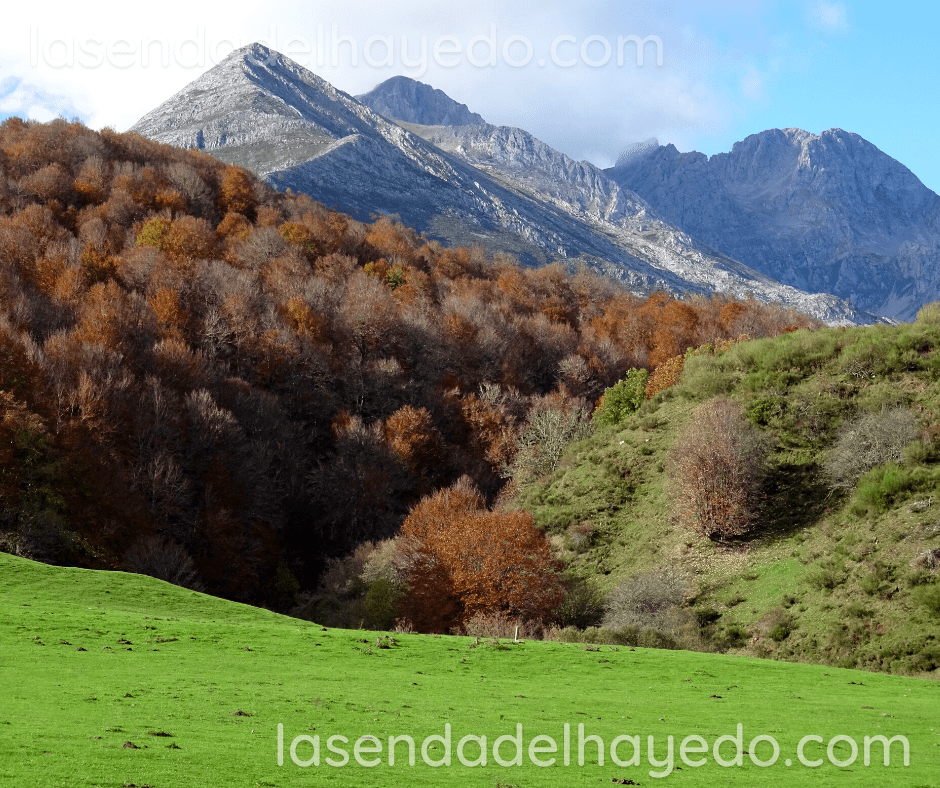 Mampodre valdeburon
